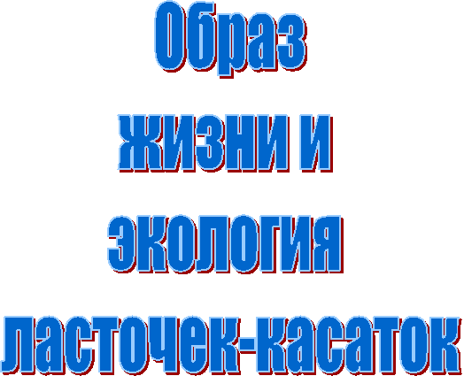 Образ
жизни и
экология
ласточек-касаток