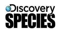 DISCOVERY
