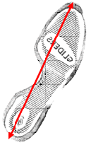 sled
