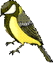 http://900igr.net/datai/chtenie/Slova-3.files/Sinitsa.png