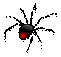 http://www.clker.com/cliparts/d/a/f/1/spider.svg.hi.png
