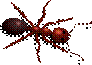 http://www.clker.com/cliparts/a/0/f/d/aurium_Ant.svg.hi.png
