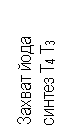 �������: ������ ���� ������ T4 �3