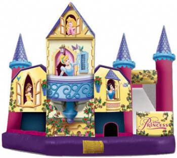 Disney Princess Collection 3D 5 In 1 Combo