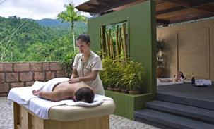 The-Chateau-Spa-And-Organic-Wellness-Resort-photos-Facilities-Spa-Suite