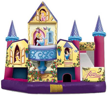 Disney Princess Collection 3D 5 In 1 Combo