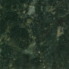 Butterfly Green