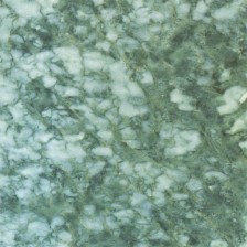 Lotus Green