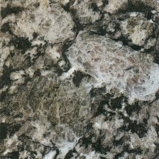 Oyster Pearl