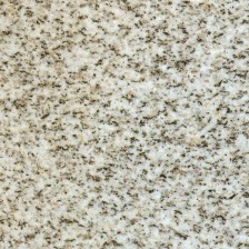 Sesame White