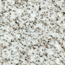 Shandong White