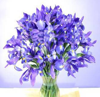 http://*****/images/fb/1028_b.jpg