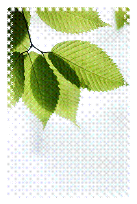 C:\Users\Лена\Pictures\Организатор