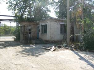 P1100858.JPG