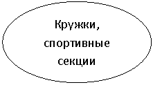 Овал: Кружки, спортивные секции