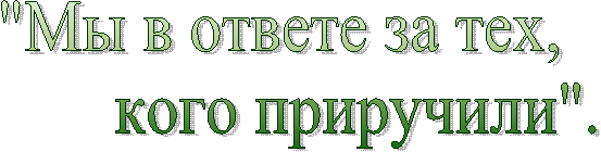 "Мы в ответе за тех,
кого приручили".