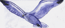 Image370