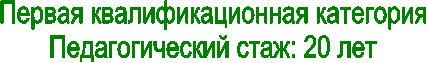 Первая квалификационная категория
Педагогический стаж: 20 лет