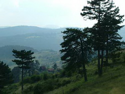 Zlatibor-view