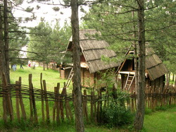 Sirogojno