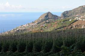 ��������: Fotografía Quinta do Estreito