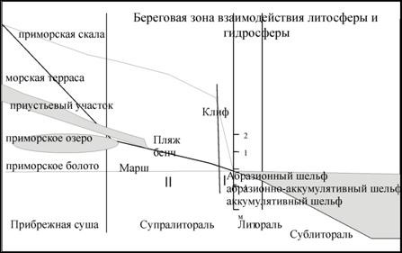 местообитдиссер