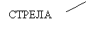 Выноска 2 (без границы): СТРЕЛА