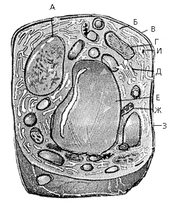 ���. 1