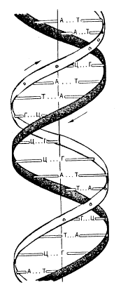 ���. 3
