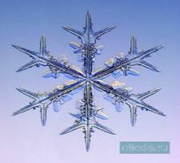 051207-o8ode-25