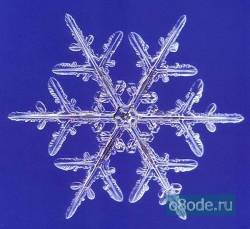 051207-o8ode-1