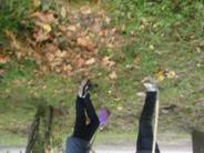 J:\������ ������\P9220397.JPG