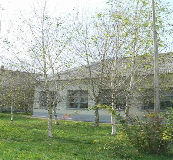 P1120576
