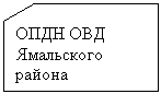 ����-�����: ��������: ����  ���-���