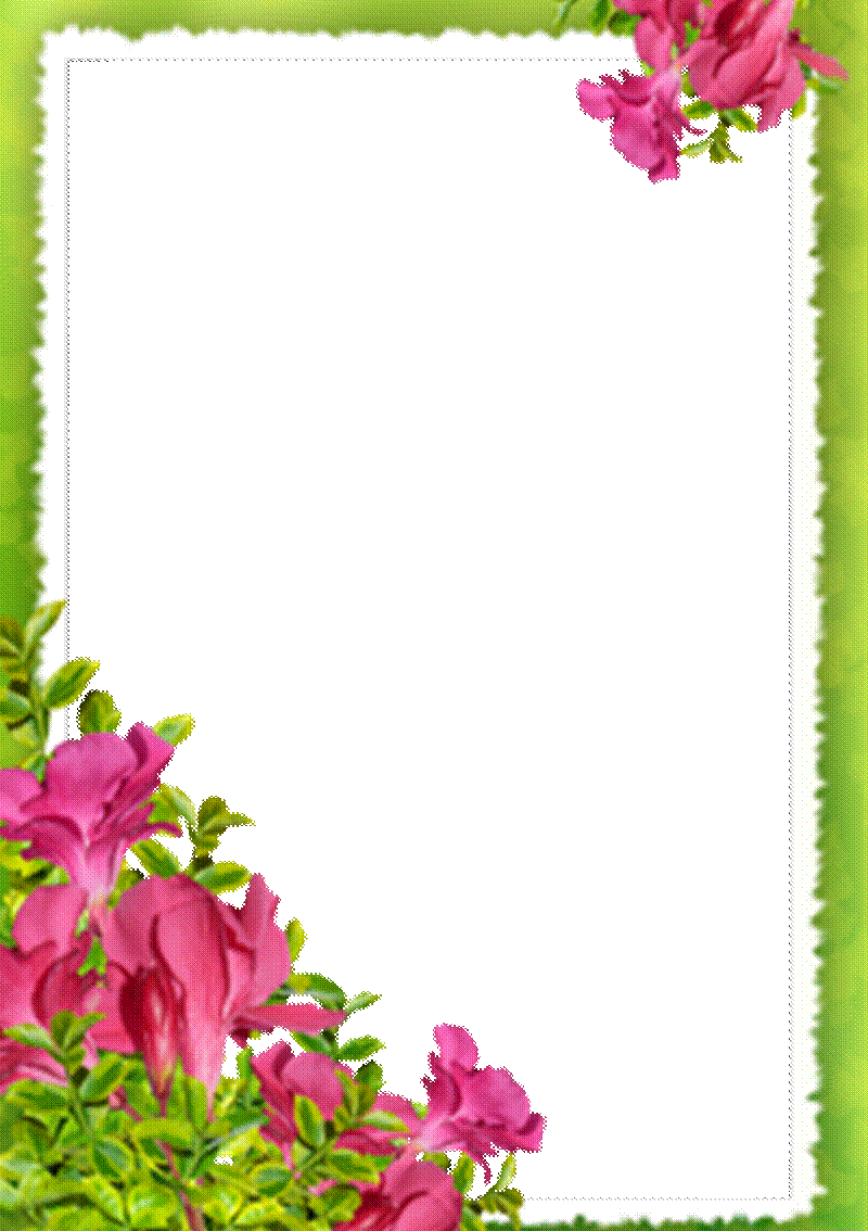 ��������� - Tender Flowers