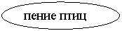 ����: