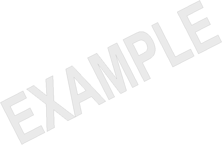 EXAMPLE