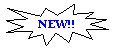 Пятно 1: NEW!!