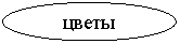 Овал: цветы