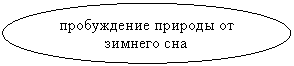 Овал: