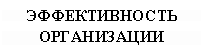 Подпись: ЭФФЕКТИВНОСТЬ ОРГАНИЗАЦИИ