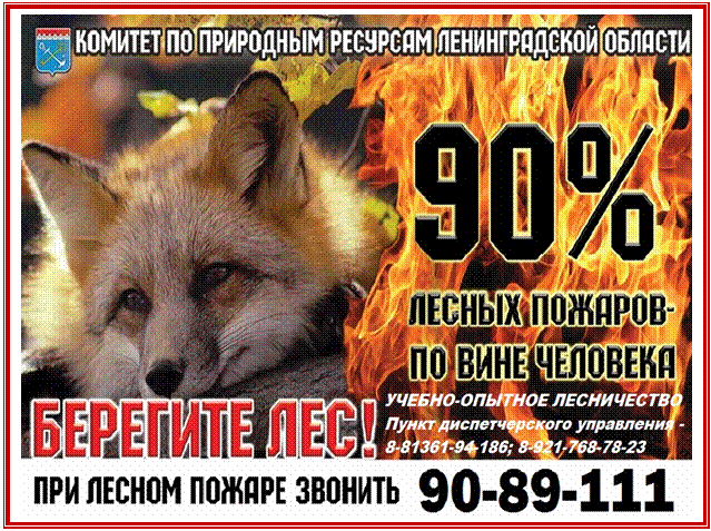 �������: 