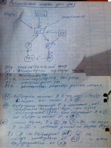 IMG__000150