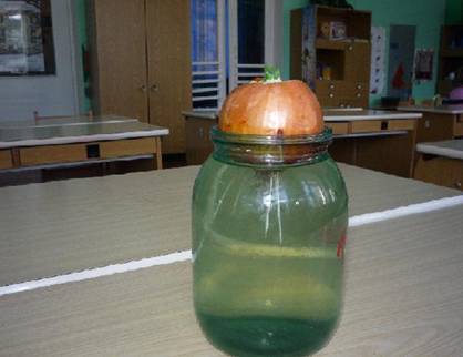 http://*****/iz_opita_pedagogov_mdou__11_tsrr/luk1.jpg?rand=