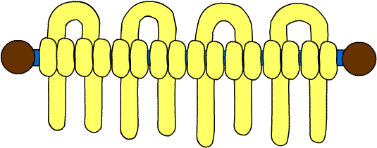 fixation_beads.gif