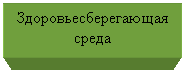 Подпись: Здоровьесберегающая среда