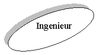 ����: Ingenieur