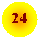����: 24