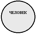 ����: �������




