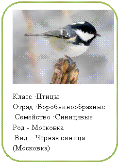 Скругленный